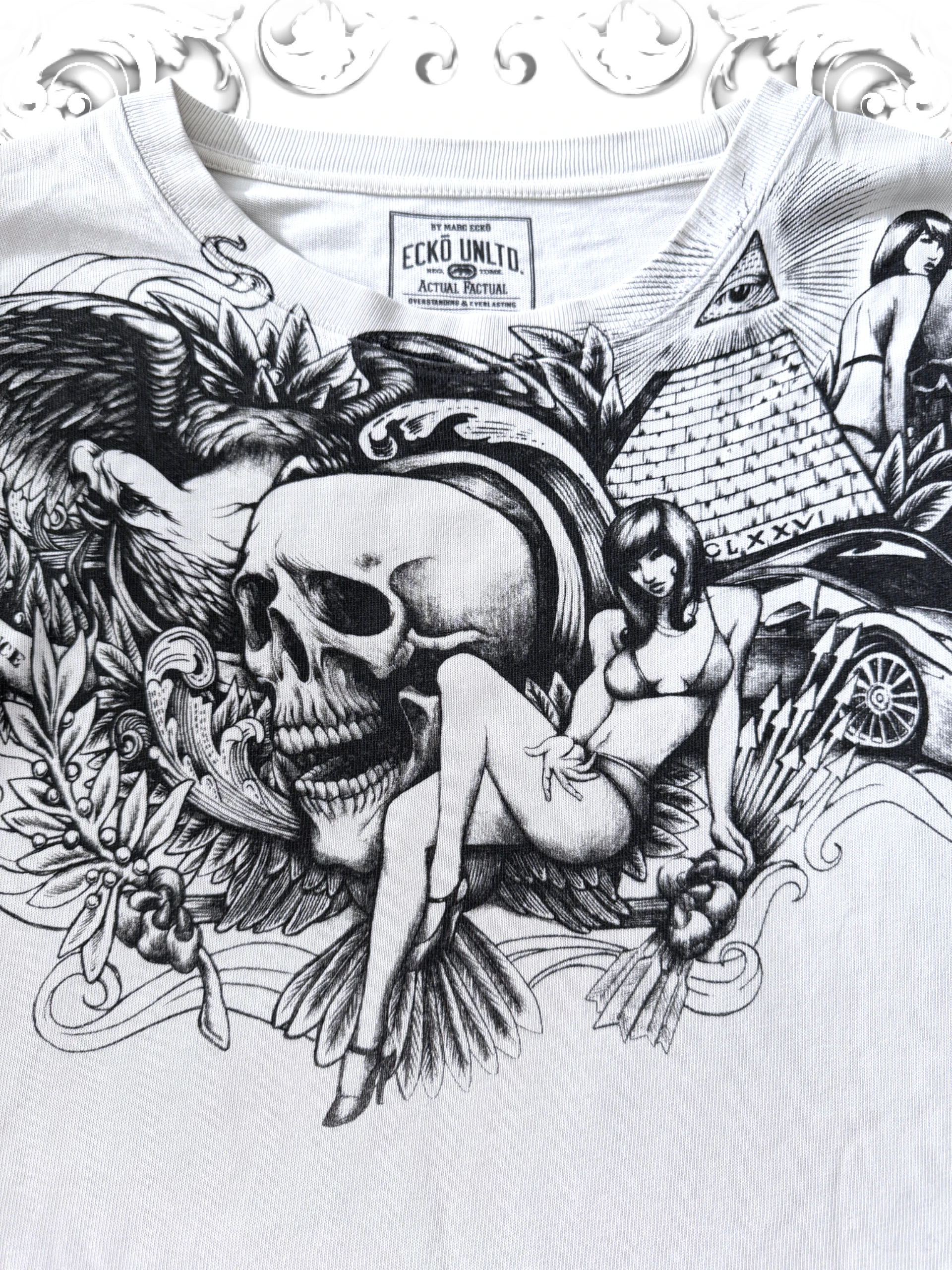 Ecko Unltd. Armageddon longsleeve with skull and eye of providence graphic print in Hip Hop style